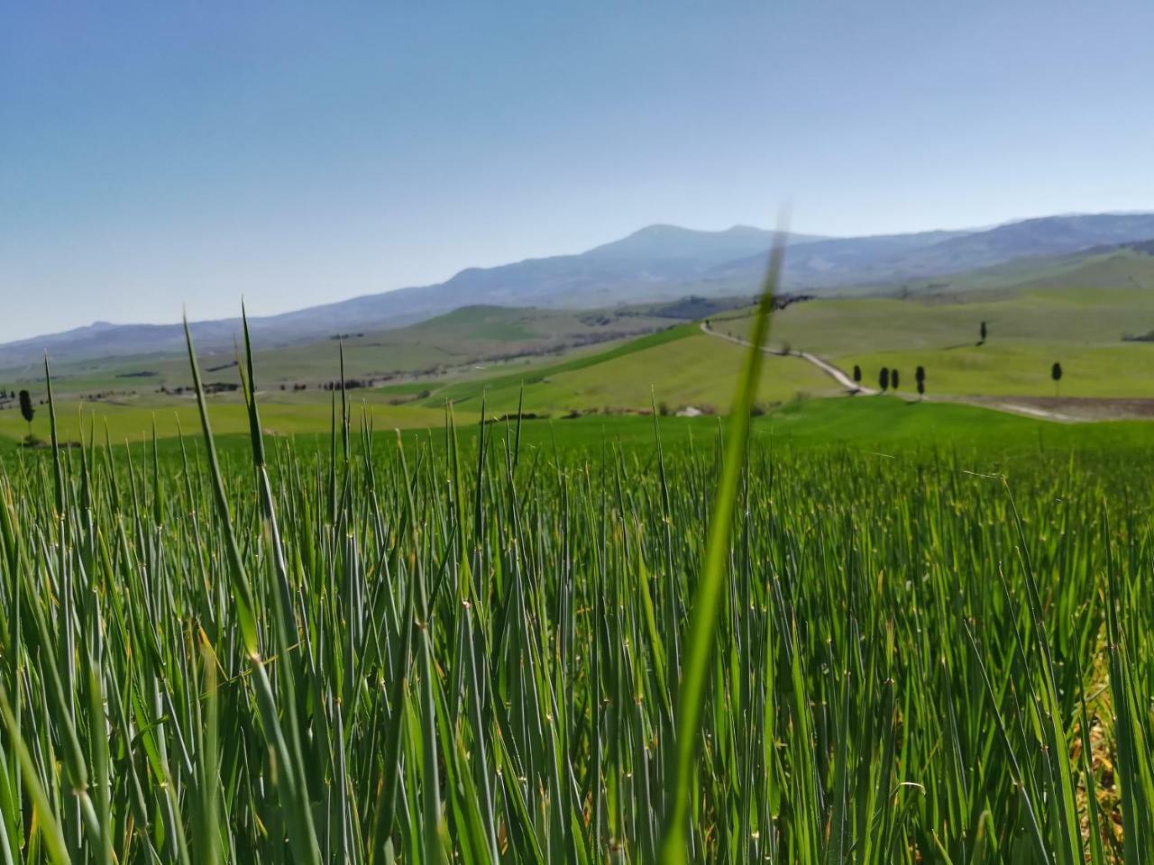 Il Giglio B&B Pienza Kültér fotó